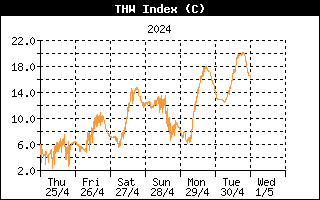 TSH index